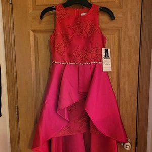 BNWT Ruby Jewel Toned High Low Rare Editions Dress size 12